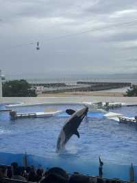 ★いまをときめく水族館★神戸須磨シーワールド