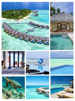 #maldiveshotel
🏝️ Milaidhoo Island Maldives – Barefoot Luxury in Baa Atoll

Milaidhoo Island is a boutique luxury paradise set in the UNESCO Biosphere Reserve of Baa Atoll, offering an intimate and romantic escape 🌅. With just 50 spacious villas featuring private pools, open-air bathrooms, and ocean views 🌊, it’s designed for couples and tranquility seekers.

Dining here is a highlight, especially at Ba’theli Restaurant, a unique boat-shaped venue serving Maldivian-inspired gourmet dishes 🍽️. Guests also enjoy beachside grills, fresh seafood 🦞, and creative cocktails 🍹.

The crystal-clear lagoon is perfect for snorkeling 🤿 and diving, with vibrant marine life just steps from your villa. You can also indulge in spa treatments 💆♀️, yoga sessions 🧘, and sunset cruises ⛵. Service is warm and personalized, making every stay unforgettable 💖.

#MilaidhooIsland #MaldivesLuxury #BaaAtoll #BoutiqueResort #MaldivesVacation #PrivateVilla #OverwaterVilla #BeachVilla #SnorkelingMaldives #DivingMaldives #MaldivesHoneymoon #LuxuryTravelMaldives #IslandGetaway #MaldivesEscape #TropicalLuxury #BarefootLuxury #MaldivesSpa #MaldivesDining #RomanticMaldives #MaldivesAdventure

