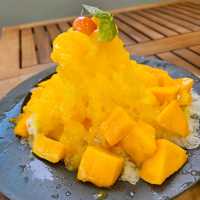 新鮮フルーツ満載!大洲・沢井青果の“映え”かき氷体験🍧🍉🍍