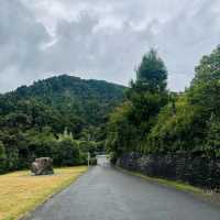 Kaitoke Regional Park – Upper Hutt, Wellington Region