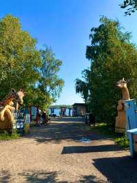 🧖‍♂️✨ ヘルシンキで楽しむサウナ巡り 4選 🇫🇮