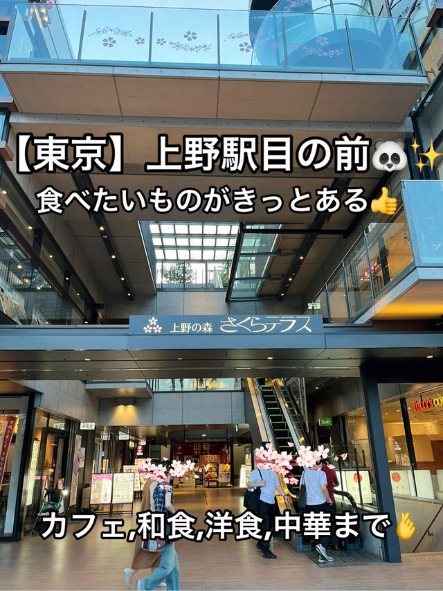 🌸【上野】さくらテラス｜公園直結のマルチなグルメスポット🍴✨