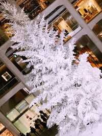 ✨ 丸の内クリスマス記録と2025 予測: 花と光の饗宴からマリオと共に彩る冬へ