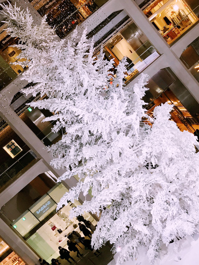 ✨ 丸の内クリスマス記録と2025 予測: 花と光の饗宴からマリオと共に彩る冬へ