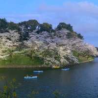 Chidori-ga-fuchi & Kitanomaru Park