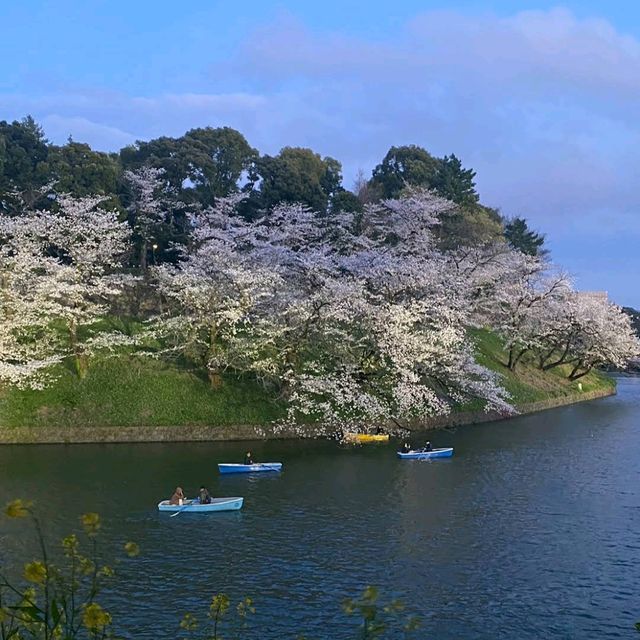 Chidori-ga-fuchi & Kitanomaru Park