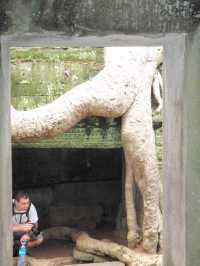 Ta Prohm, Cambodia: Where Roots Embrace Ruins