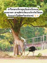 🦒🌿 สวนสัตว์เปิดเขาเขียว-วันชิลๆ กับสัตว์น่ารัก