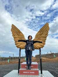 澳洲阿得雷德、墨爾本+新加坡親子遊