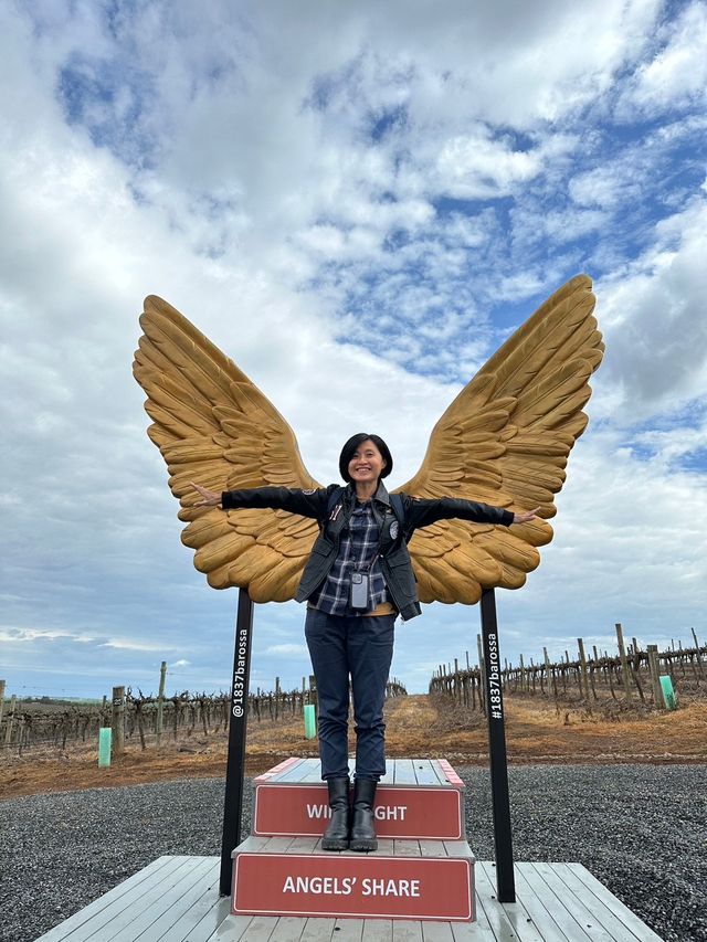 澳洲阿得雷德、墨爾本+新加坡親子遊