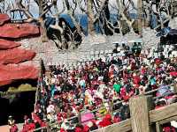 Jade Dragon Snow Mountain
