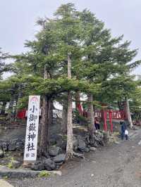 陰雨下漫步富士山五合目⛰️  