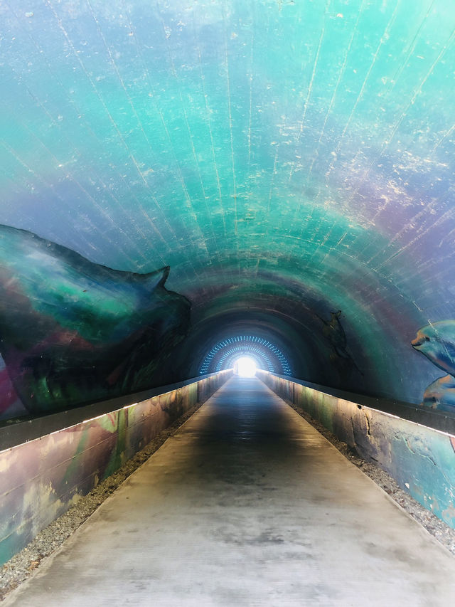 靚到一絕的星空隧道❤️🧡💛💚💙💜 靚到一絕的星空隧道❤️🧡💛💚💙💜