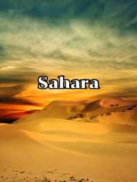 Sahara