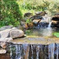 Araluen Botanic Park – Heritage Garden Sanctuary in the Perth Hills