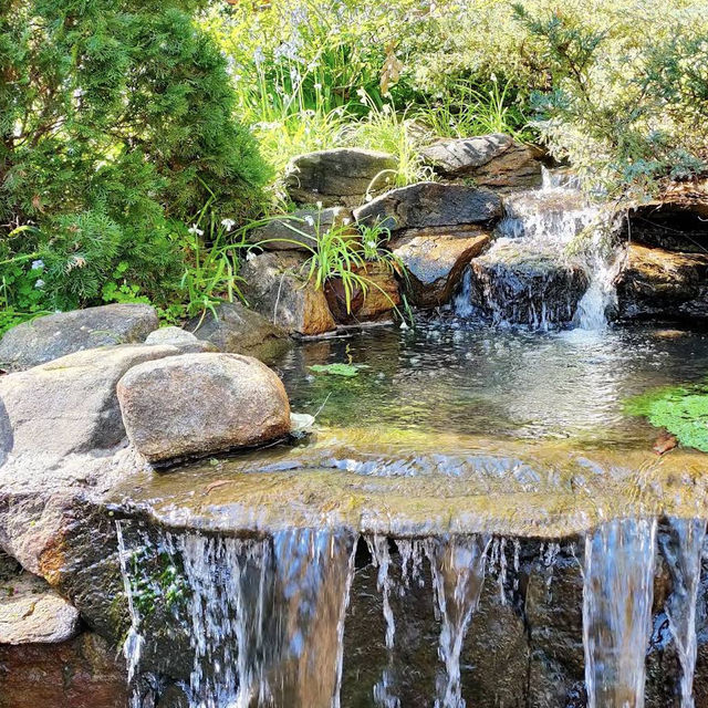 Araluen Botanic Park – Heritage Garden Sanctuary in the Perth Hills
