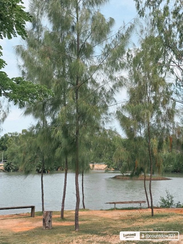 บ้านพัฒก์ | Rayong 🌿🍃 บ้านพัฒก์ | Rayong 🌿🍃