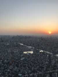 櫻花季東京五天四夜行程 p4 第一天行程