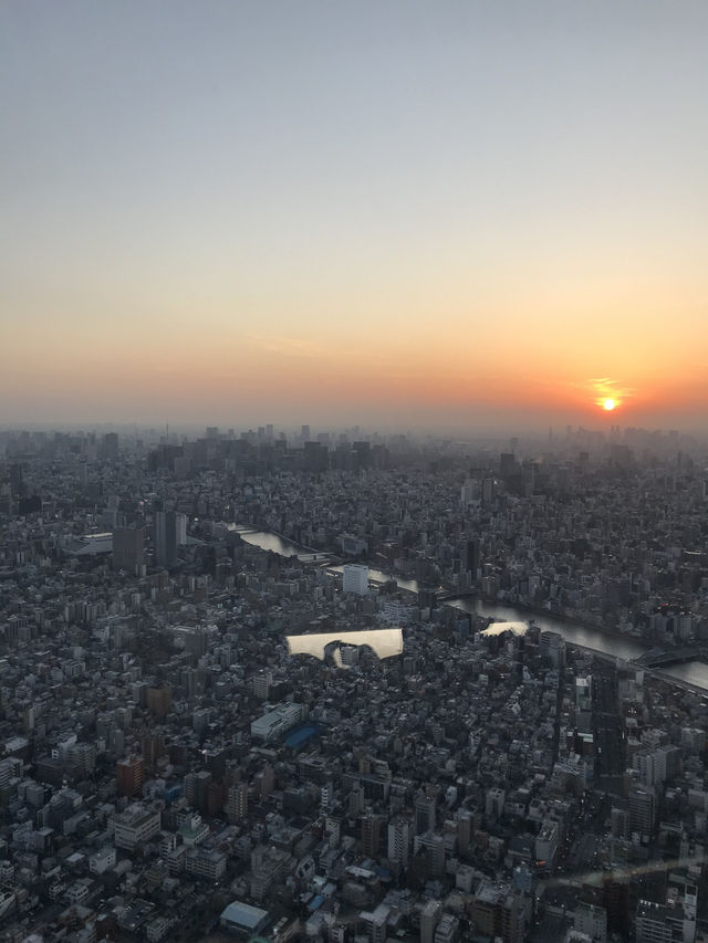 櫻花季東京五天四夜行程 p4 第一天行程 櫻花季東京五天四夜行程 p4 第一天行程