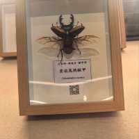 嶺南名園順德清暉園