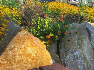 🌳 Explore the Beauty of Brown County State Park 🍁 