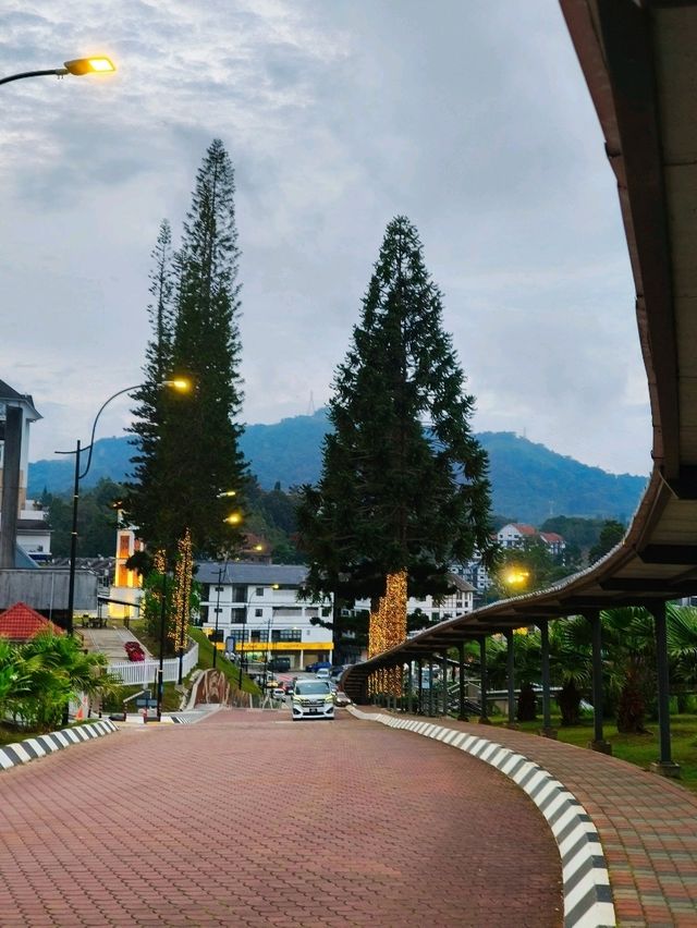 Experience Cameron Modern Retreat Stay🧳 Experience Cameron Modern Retreat Stay🧳