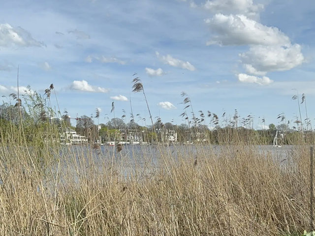 Alster Lakes Alster Lakes