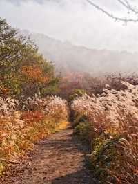 【穴場の紅葉】観光攻略付‼️山深い静寂の湖へ！🍁🏞️✨赤城山が生んだ神秘のカルデラ湖畔を歩く🚶‍♀️