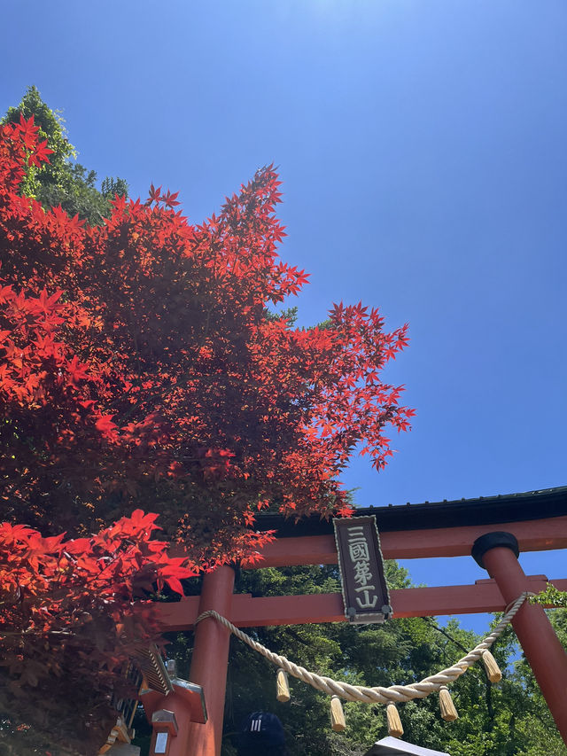 【秋日限定】淺間公園的夢幻畫面