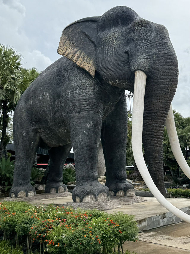 สวนนงนุช พัทยา (Nong Nooch Garden) สวนนงนุช พัทยา (Nong Nooch Garden)