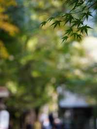 神話の舞台として多くの参拝者が訪れる
