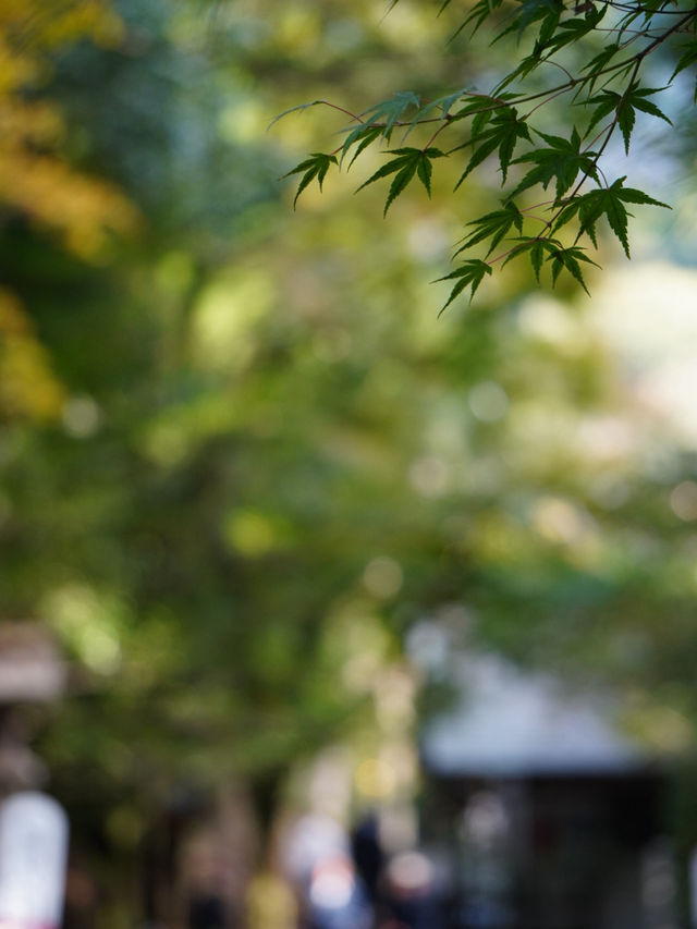 神話の舞台として多くの参拝者が訪れる 神話の舞台として多くの参拝者が訪れる