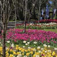 Araluen Botanic Park