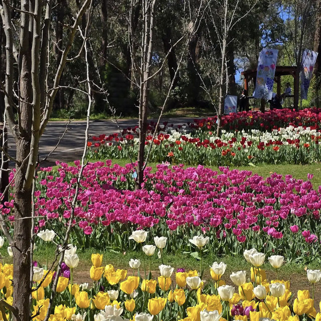 Araluen Botanic Park
