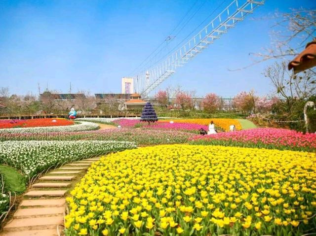 最夢幻花海色彩繽紛旅人必去💕成都漫花莊園