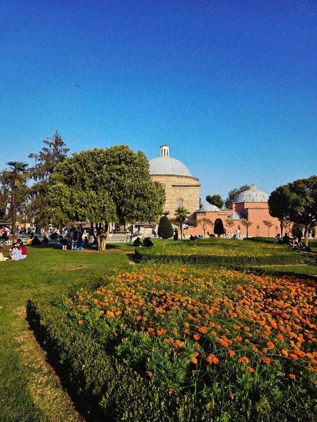 Hagia Sophia, where centuries of culture and faith live side by side 🕌🕊️