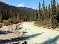 Kicking Horse River
