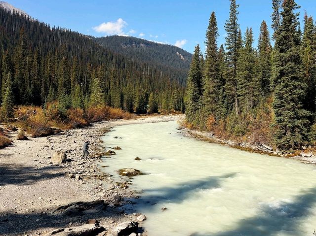 Kicking Horse River