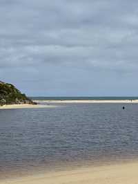 【オーストラリア・西オーストラリア】川と海が出会う癒しの場所「Moore River Estuary」🌊🌿