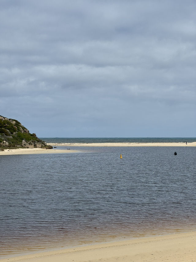 【オーストラリア・西オーストラリア】川と海が出会う癒しの場所「Moore River Estuary」🌊🌿