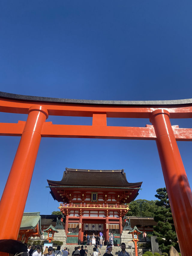 Kyoto Nature Escape🌳  