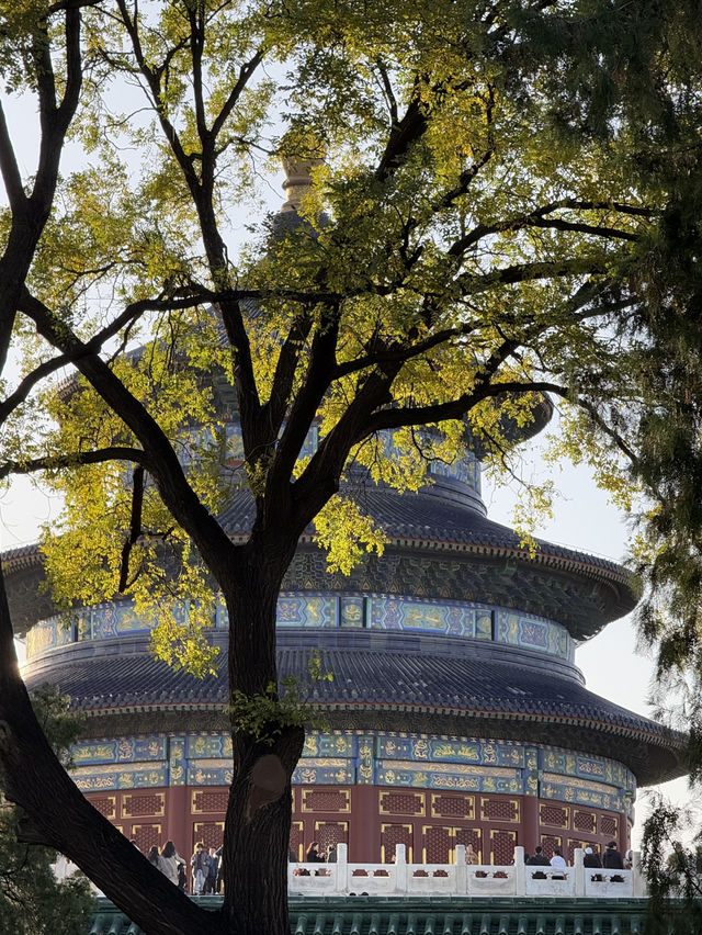 หอสักการะฟ้าเทียนถาน Tian Tan Temple of Heaven หอสักการะฟ้าเทียนถาน Tian Tan Temple of Heaven
