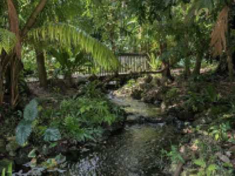 Fairchild Tropical Botanic Garden