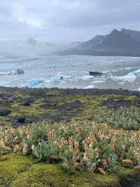 “The Floating Jewels of Iceland”