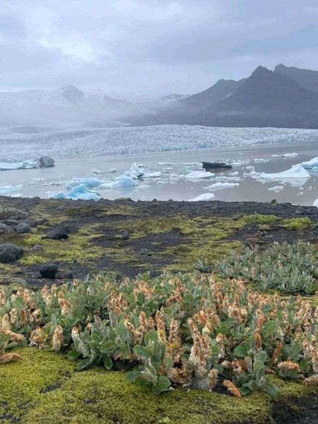 “The Floating Jewels of Iceland”