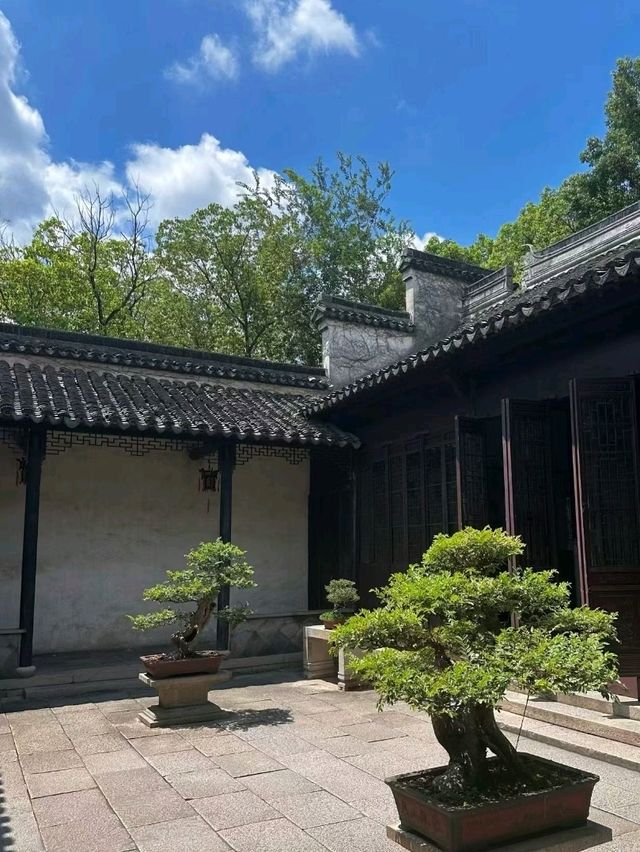 Suzhou Garden Charm🌸