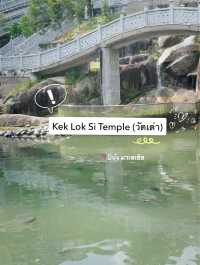 มาปีนัง อย่าลืมมาเช็คอินที่นี่! 📍วัดเต่า