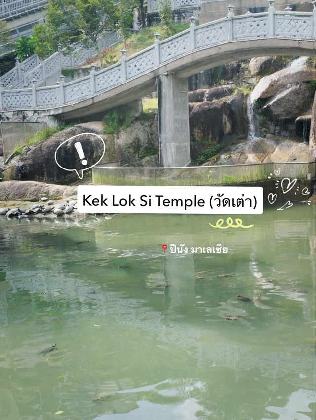 มาปีนัง อย่าลืมมาเช็คอินที่นี่! 📍วัดเต่า มาปีนัง อย่าลืมมาเช็คอินที่นี่! 📍วัดเต่า