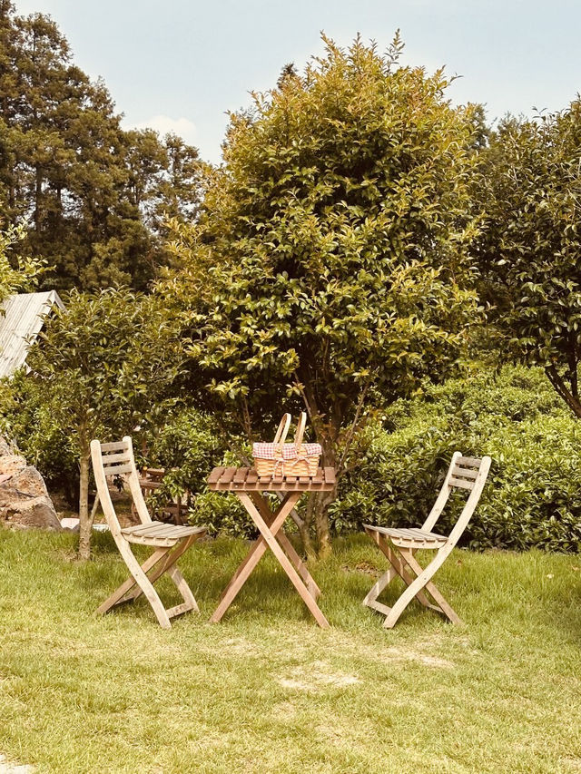 Jeju Ae-in Tangerine Farm (제주에인감귤밭) – An Immersive Citrus Sanctuary