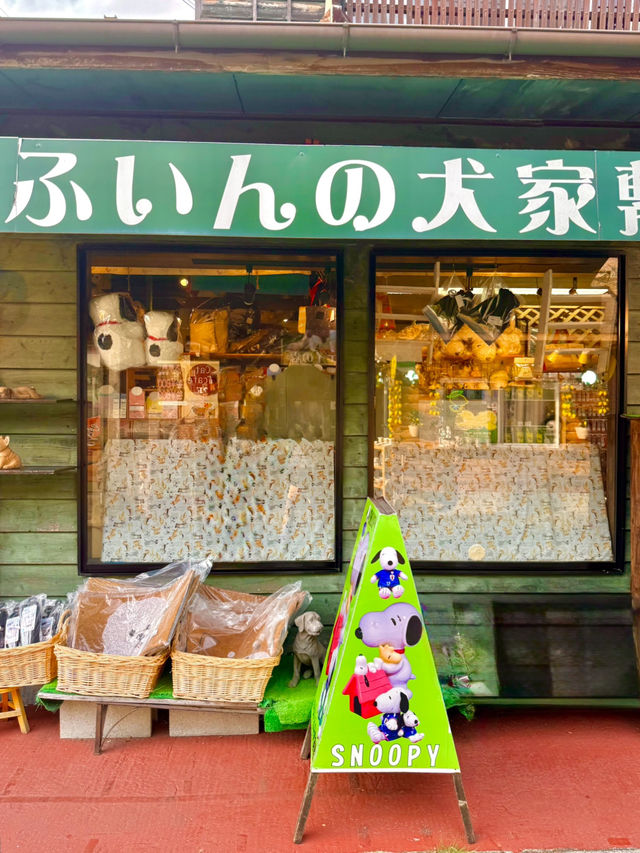 🌿 일본 감성 가득한 온천 마을 — 유후인 여행가이드 🇯🇵♨️